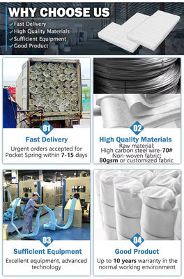 Prix d'usine Foshan Différents modèles peuvent être personnalisés Sofa Pocket Spring Cushion