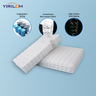 Encore Support Pocketed Coil Assembly pour Base de Siège de Meuble pour Importateurs et Distributeurs de Meubles